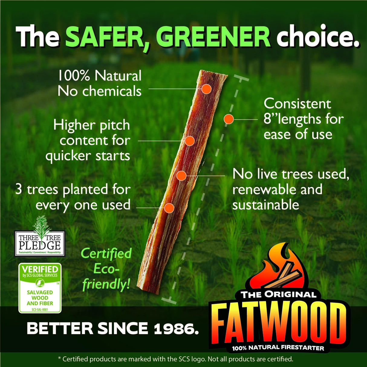Betterwood 10 Pound Fatwood Natural Pine Firestarter 1 Pack for Campfire, BBQ, or Pellet Stove, Non Toxic and Water Repellent Better Wood Products