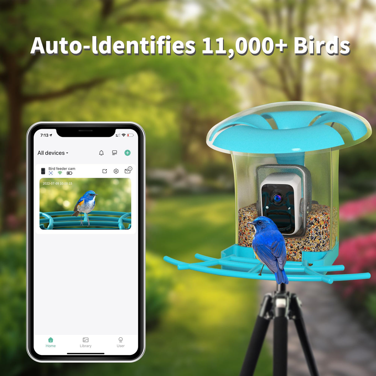 OIRHNL Smart Bird Feeder with Camera,AI Identify Birdwatching Camera with Solar Powered-Motion Activated & Watching HD Bird Video,Transparent OIRHNL