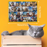 Funny Cat Art Puzzles for Adults 1000 Pieces, Nature Travel Kitten US Landmarks Jigsaw Puzzles, Animal Landscape Collage Scenic Puzzle IdeaBazar