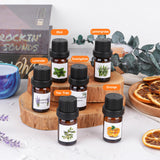 OFUN Candle Making Kit, Candle Making Kit for Adults, DIY Candle Making Supplies, Soy Candle Making Kit, DIY Kits for Adults, Geginners-Perfect Christmas Gifts Valentines Day Gift Mother's Day Gift OFUN