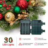 Adeeing 16" Christmas Wreath for Front Door, Lighted Christmas Wreath with 30 LED Lights Timer Red Green Gold Xmas Balls, Battery Operated Snow Flocked Winter Wreath for Fireplace Window Outdoor Decor Adeeing