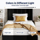 Allewie Twin Bed Frame/Velvet Upholstered Bed Frame with Vertical Channel Tufted Headboard/Strong Wooden Slats/Platform Bed Frame/Mattress Foundation/Box Spring Optional/Easy Assembly/Black Allewie