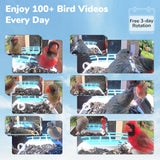 Twesync Bird Feeder with Camera, 2K HD Bird Video Capture, 5000mAh Battery with Solar Panel, Instant Arrival Alerts, Live View, AI Bird Species Identification, Perfect for Bird Lovers Twesync