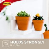 Command Display Ledges, Holds up to 2 lb, Quartz, 2 Ledges with 8 Medium Command Strips, Damage Free Hanging Floating Shelf with Adhesive Strips, Personalize Living Room, Bedroom, Kids Room or Office Command