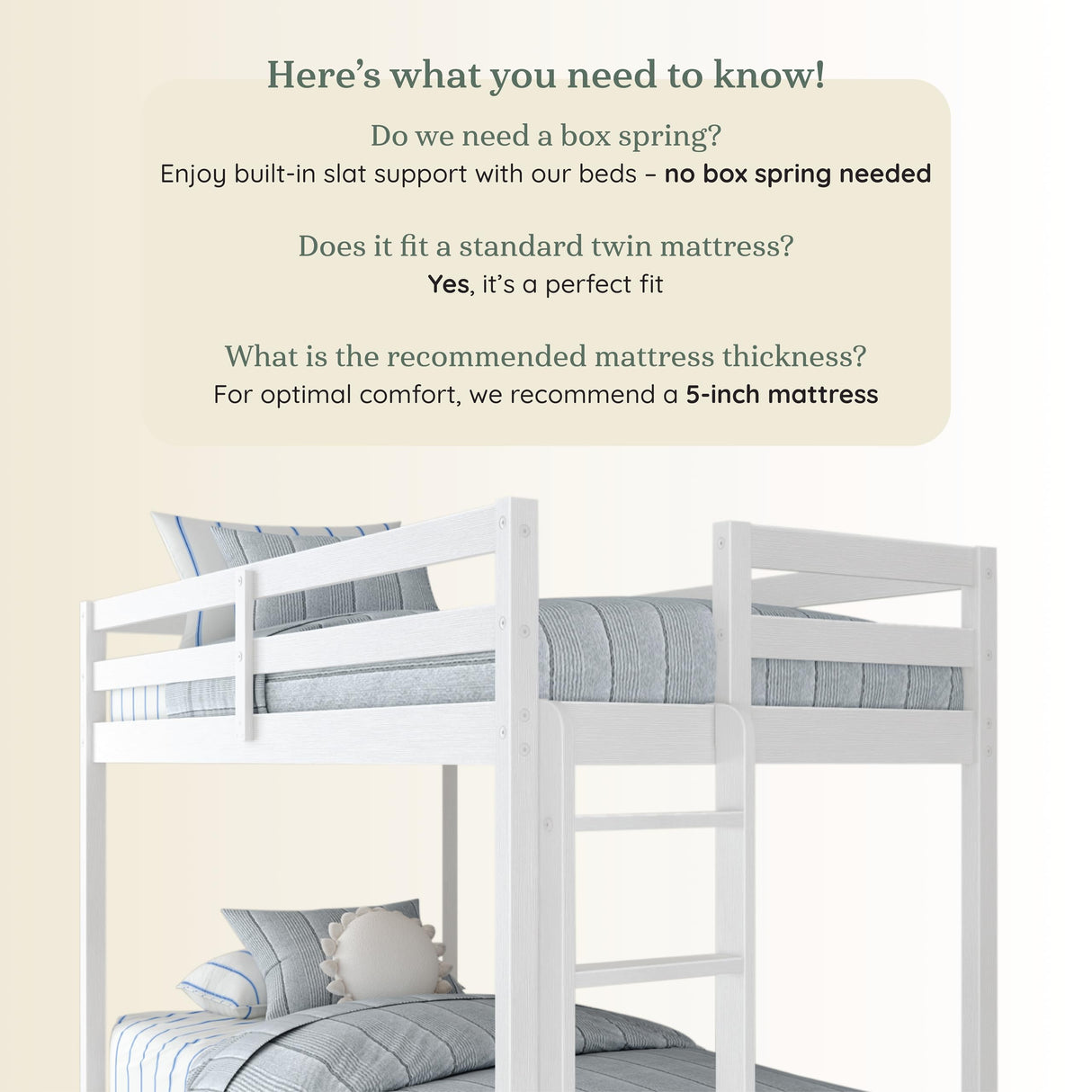 Grain & Grove Bear Twin Over Twin Bunk Bed, Sturdy Bunk Bed Frame for Kids, Plywood Bunk with Ladder, Guardrail, and Slats, No Box Spring Required, Brushed White Grain & Grove