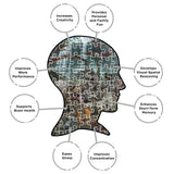 AQUARIUS Jurassic World Size Chart 3000pc Puzzle (3000 Piece Jigsaw Puzzle) - Glare Free - Precision Fit - Officially Licensed Jurassic World Merchandise & Collectibles - 42x35 Inches AQUARIUS