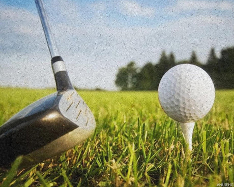 VNUIEHG Golf Sport Paint by Numbers for Adults Beginner DIY Painting Kits Wall Art for Home Office Decor, Style16x20In VNUIEHG