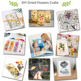 Rhykoka Large Flower Press Kit for Adults, 10 Layers 11.8 x 8.3 Inches DIY Wood Leaf Plant Press Kit, Great Gift for DIY Arts and Crafts Lovers (Light Beige) Rhykoka