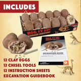 MindWare Dig It Up! Dinosaur Skeleton Eggs Excavation kit - Comes with 12 Clay Eggs, 12 Chisel Tools and 12 Instruction Sheets MindWare