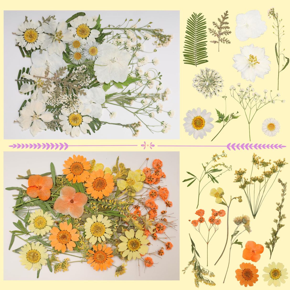 179Pcs Dried Pressed Flowers Real Pressed Flowers Natural Dry Leaves Bulk Mixed Colorful Herbs Kit with Tweezers for Scrapbooking DIY Candle Jewelry Crafts Making (Delicate Color) Gvhntk