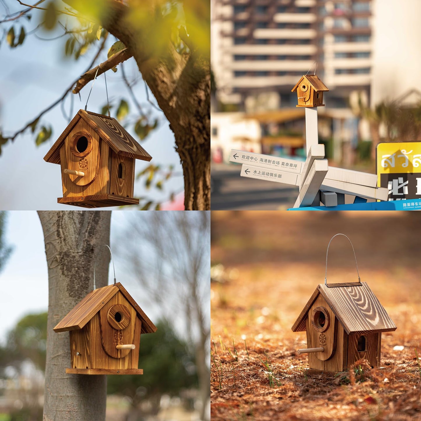 DIY Outdoor Wooden Bird House Kits with Pole&Windows - Build and Paint for Adults & Kids,Dovetail Joint Structure for Easy Installation, Carbonized for Durability, Sturdy and Easy to Clean,Paint Kit