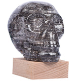 3D Skull Crystal Puzzle, Skull Assembly Brain Teaser with Light-Up Wood Base for Halloween Decorations Outdoor, Plastic Skull DIY Puzzle Blocks 3D Model Toy, Gift for Adults, Kid 14+, 49pcs (Grey) Generic