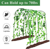 Large Garden Arch Trellis Tunnel Trellis for Climbing Plants Outdoor Vegetables Like Squash Cucumber and Grape Vilege