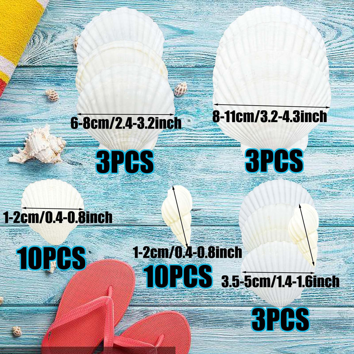 Allazone 58 PCS Shell Painting Kit, Art and Craft Kits, DIY Painting Crafts Set Included Sea Shell, Brushes, Stickers, Eyes, Glitter Glue for Activities DIY or Home Decor Allazone