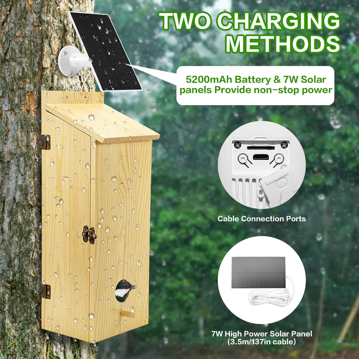 FlyGift Bird House with Camera - Smart Bird Nest with 1080P HD Full Color Night Vision Bird Cam, 2.4G WiFi & App Notify Solar Powered with Nest Auto Capture Photo & Video, Ideal Gift for Family FlyGift