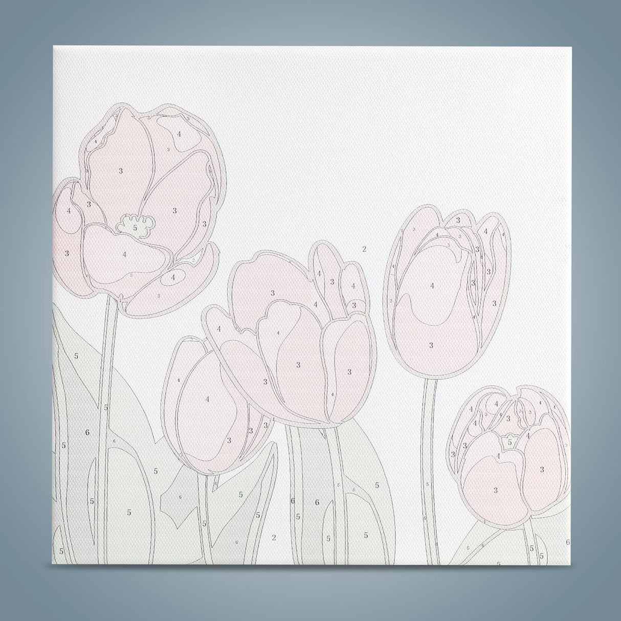 Dynippy DIY Oil Paint by Numbers for Beginner Framed Colourful Canvas Acrylic Oil Easy Painting Kit for Adults Childrens 8x8 inch - (Pink Flower) Dynippy