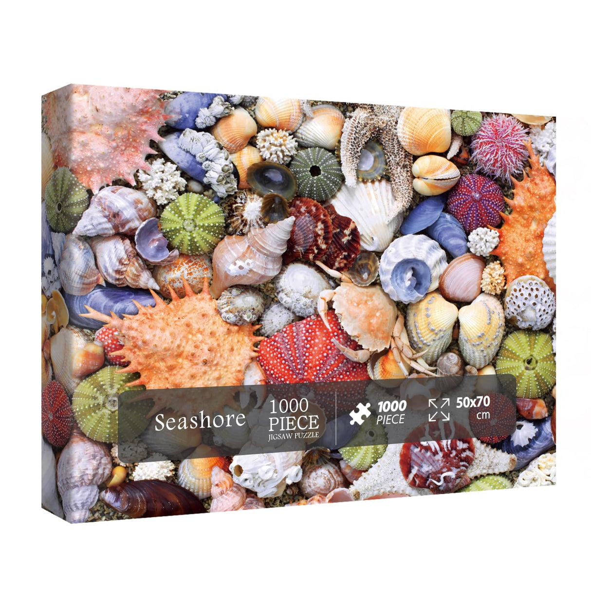 Colorful Seashell Puzzle for Adult 1000 Piece, Ocean Beach Puzzle 1000 Pieces for Adult, Marine Jigsaw Puzzles Hawaii 1000 Piece for Adult BBOLDIN