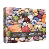 Colorful Seashell Puzzle for Adult 1000 Piece, Ocean Beach Puzzle 1000 Pieces for Adult, Marine Jigsaw Puzzles Hawaii 1000 Piece for Adult BBOLDIN