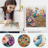 Sanjee 5D Special Shape Diamond Art Kits for Beginners, Peacock Diamond Painting Kits for Adults, Crystal Rhinestones Diamond Painting for Home Wall Decoration Gift, 12×12inch Sanjee