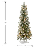 National Tree Company Pre-lit Artificial Mini Christmas Tree | Includes Pre-strung White Lights | Snowy Downswept Forestree - 3 ft National Tree Company
