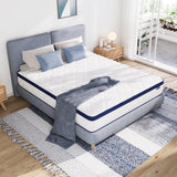 Avenco 12 Inch Queen Mattresses in a Box, Hybrid Queen Size Mattresses with Comfort Foam and Pocket Coils for Pressure Relief & Motion Isolation Avenco