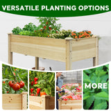 BSP Raised Garden Bed with Legs Outdoor Elevated Garden Planter Wood Stand for Vegetable Flower Herb Upgraded Solid Structure Growing Box Suitable for Backyard Patio and Balcony, 48”L X 24”W BEST SELECT PRODUCTS