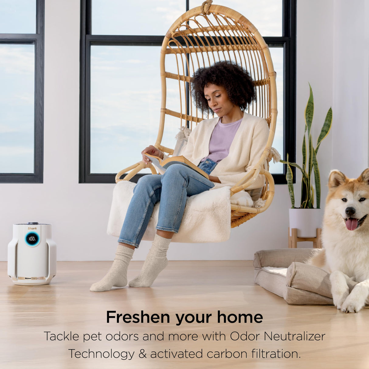 Shark NeverChange Air Purifier Compact Pro, Long-Lasting HEPA-Exceeding Filtration, For Pet Dander, Dust, Smoke, Allergens, Up to 250 sq. ft., Odor Neutralizer, Bedroom, Nursery, Dorm, HP072 (2025) Shark
