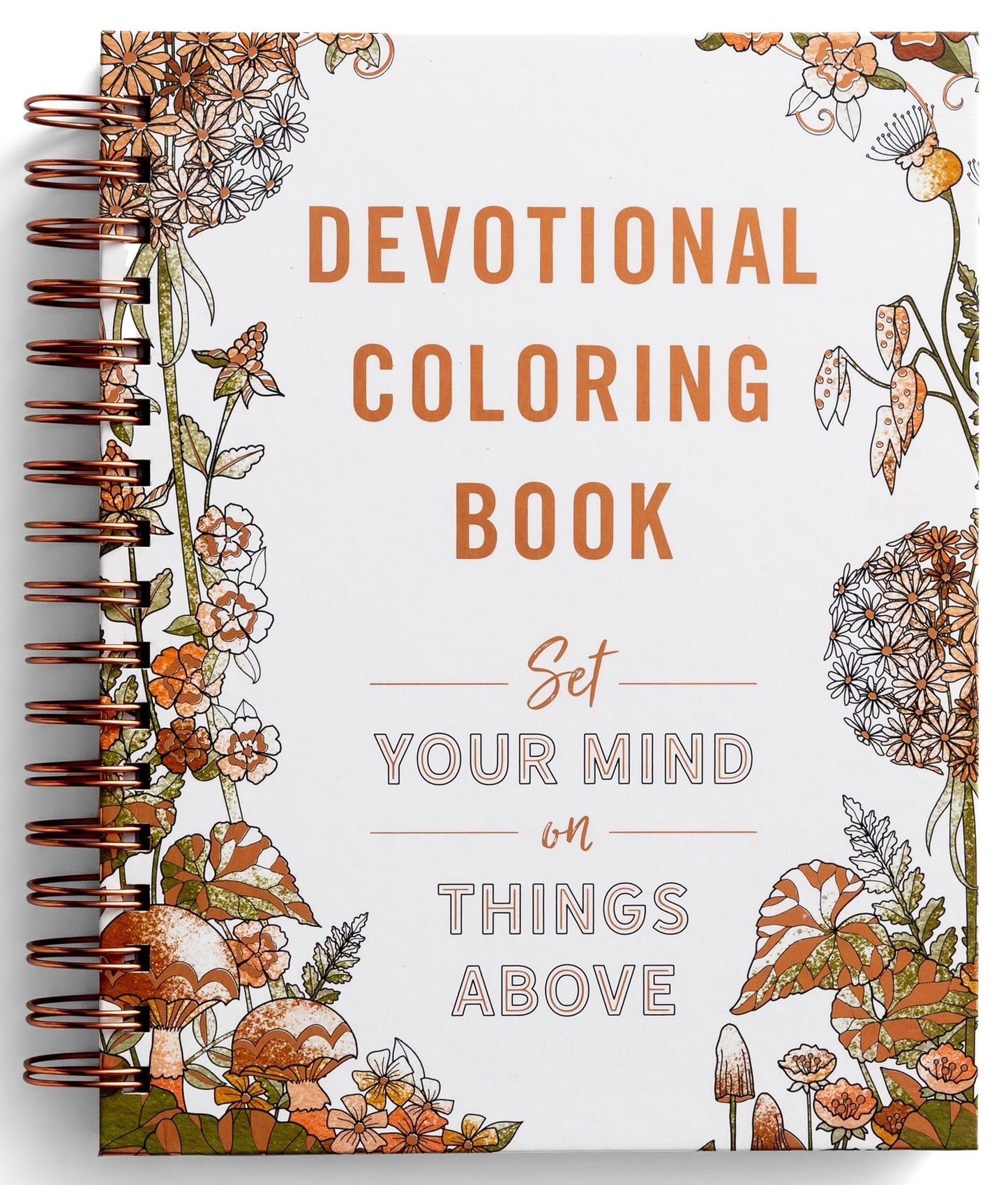 Set Your Mind on Things Above: Devotional Coloring Book