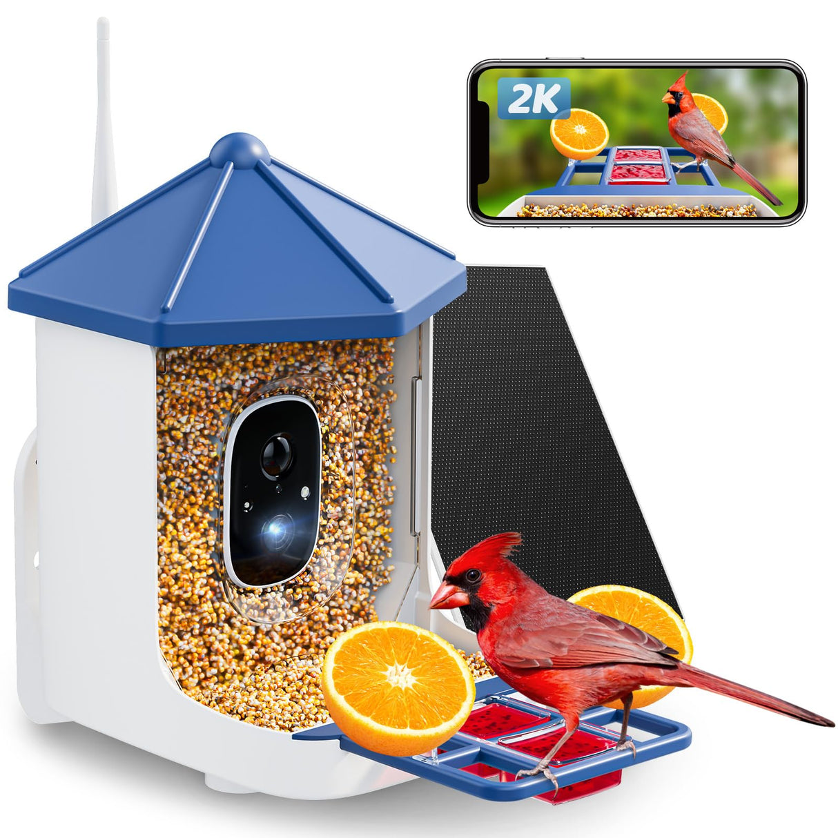 Solareye Bird Feeder with Camera, 2K HD Color Night View, AI Bird Identification, Auto Capture,Motion Detection Alerts, Smart Bird Feeder for Outdoors, Present for Bird Lover(Solar Panel Included) Solareye