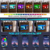 HOMMPA Open Shelf LED Nightstand with Charging Station Dark Walnut 2 Drawers Bedside Table with Led Light Night Stand with Storage Smart Nightstand Wood Night Table Mid Century for Bedroom Furniture HOMMPA