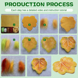 OEHPICC Needle Felting Kit, 6 PCS Plant Leaf Coasters Needle Felting Starter Kit,Wool Felting Kit with Wool Roving, Foam Pad and Instructions for DIY Felting Starters OEHPICC