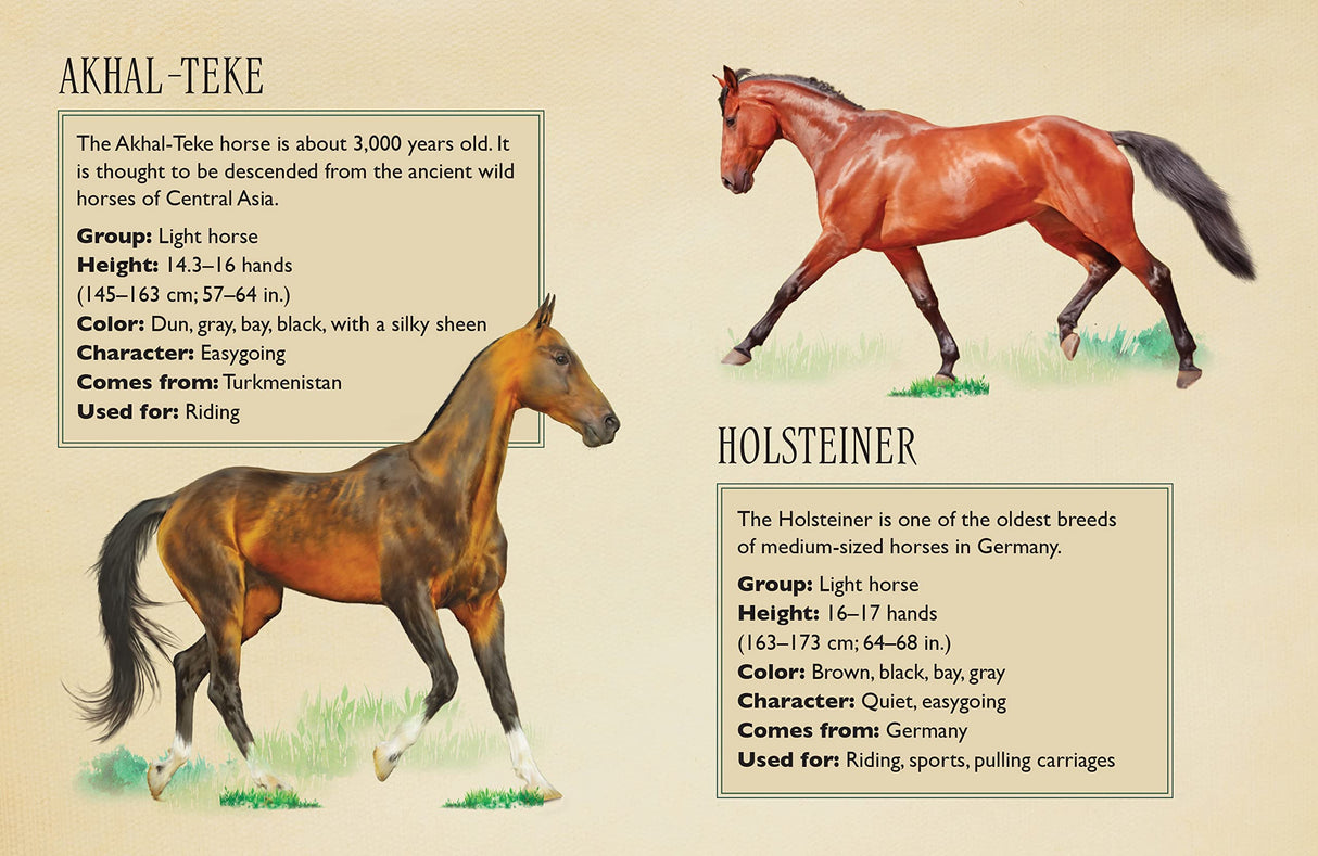 Horses Jigsaw Puzzle, 500 Pieces - Magnificent Horses, 20" x 14" - with 32 Page Pocket Field Guide - Great Gift for Horse Lovers Insight Editions