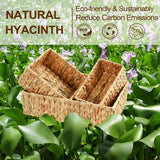 FairyHaus Wicker Baskets for Organizing 3Pack, Large and Small Wicker Storage Baskets Set, Hand Woven Baskets for Storage, Natural Water Hyacinth Storage Baskets for Pantry Shelf FairyHaus