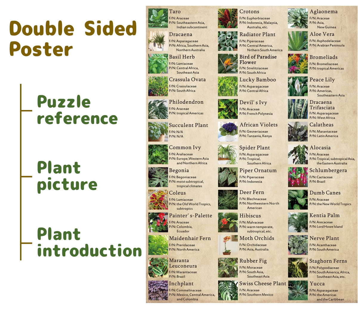 Vintage Houseplant Puzzle 1000 Pieces for Adult, Botany Succulent House Plant Puzzle, 39 Common Indoor Plants Jigsaw Puzzles BBOLDIN