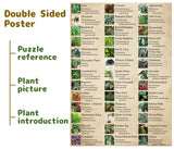 Vintage Houseplant Puzzle 1000 Pieces for Adult, Botany Succulent House Plant Puzzle, 39 Common Indoor Plants Jigsaw Puzzles BBOLDIN