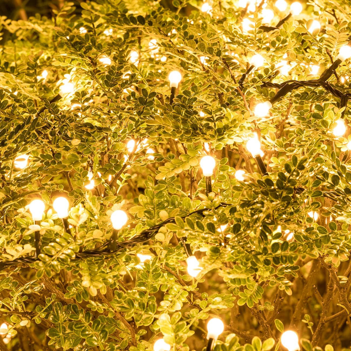 AWQ 500 LED 49ft Christmas Cluster Lights Christmas String Lights Plug in 8 Modes Extendable for Christmas Home Garden Wedding Party Xmas Tree Indoor Outdoor Decor (500, Warm White) AWQ