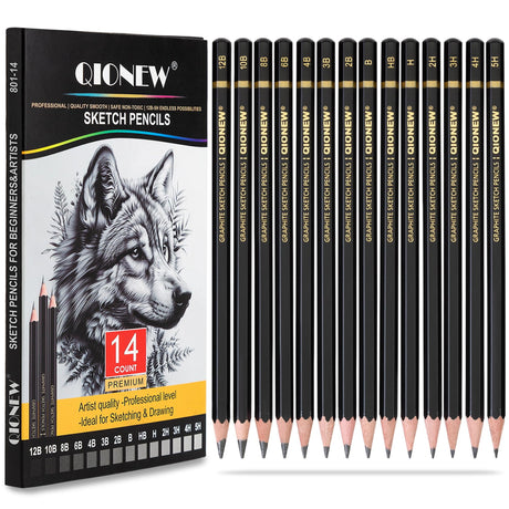 Qionew Professional Sketching Pencil for Drawing,14 Pack, Graphite Pencils, (12B-5H), Art Pencils for Drawing and Shading, Sketching, Ideal for Beginners & Pro Artists Qionew