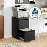 MIIIKO 2 Drawer File Cabinet on Wheels, Home Office Mobile File Drawers Under Desk, Filing Cabinets with Drawers for Legal/Letter/A4 File Folders(Black),Un-Assembled MIIIKO