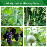 65"×50" Cucumber Trellis for Raised Bed,Tall Metal Arch Garden Trellis for Climbing Plants Outdoor,Vegetables,Plant Support Peas,Fruit,Flower,Grape,Tomato, Bean CFKEMZY