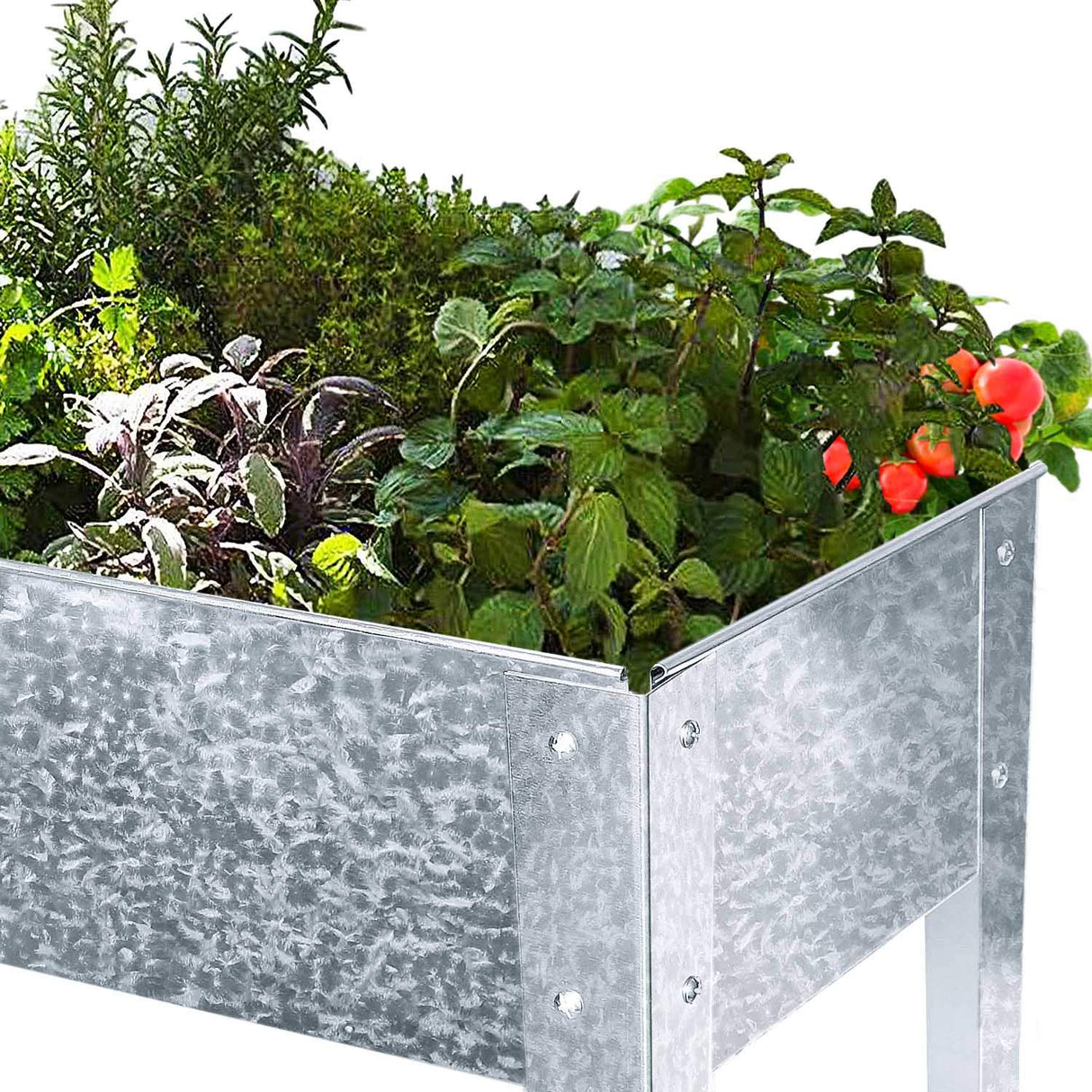 FOYUEE Galvanized Raised Garden Bed for Vegetables Elevated Planter Box with Legs Outdoor Patio Apartment Herb Container Metal FOYUEE