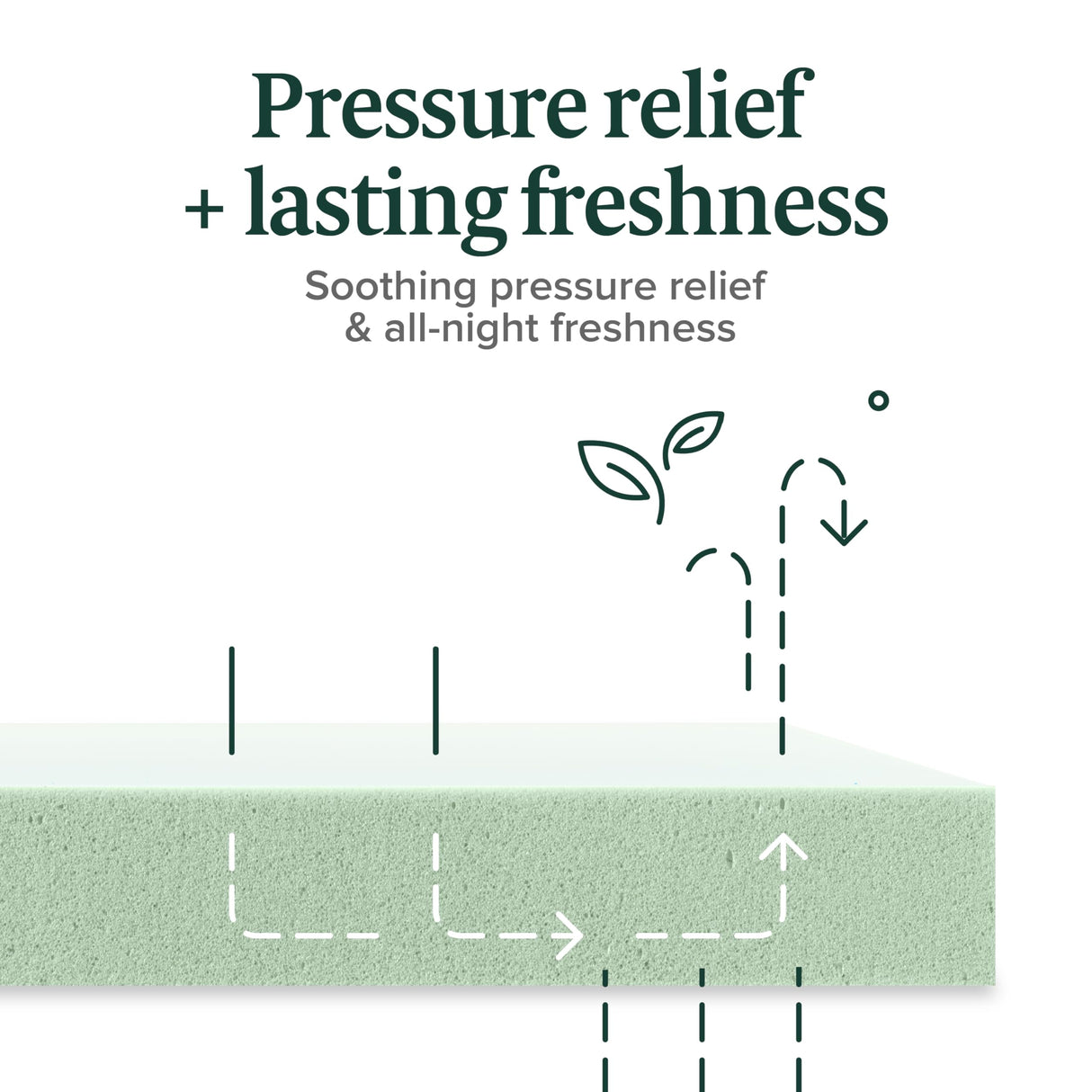 ZINUS 8 Inch Green Tea Memory Foam Mattress [New Version], Twin, Fiberglass free, Medium Firm Feel, Zoned Pressure Relief, Certified Safe Foams & Fabric, Mattress in A Box Zinus