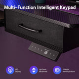 WALKINGDESK 55x24 Inches Electric Standing Desk with Keyboard Tray, Height Adjustable Stand up Desk with 2 Drawers, Ergonomic Sit to Stand Desk with Storage Monitor Stand, Computer Table, Black WALKINGDESK