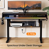 ErGear Adjustable Electric Standing Desk with Bookshelf & RGB Monitor Stand ErGear
