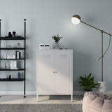 LINGZOE 2 Door Metal Locker Storage Cabinet with 2 Adjustable Shelves,Steel Locker Cupboard for Bedroom, Bedside, Office Room LINGZOE