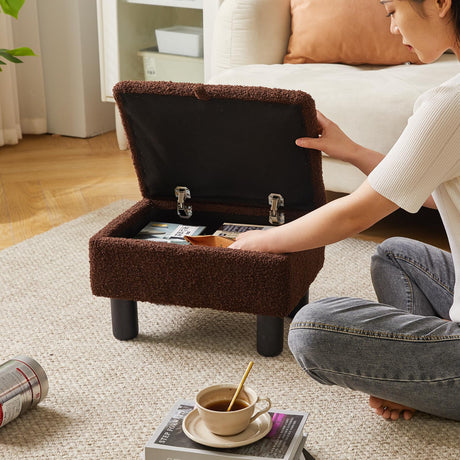 Aibiju Small Foot Stool Ottoman with Storage, Teddy Velvet Foot Rest with Wood Legs and Safety Hinge Flip Top, Bedside Step Stool Rectangle 16x12x9.5inch for Living Room Bedroom Teddy Brown YD-JD136B Aibiju