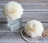 Mixed White Sola Flower with Cotton Wick Diffuser Set Replacement for Home Fragrance by Plawanature plawanature