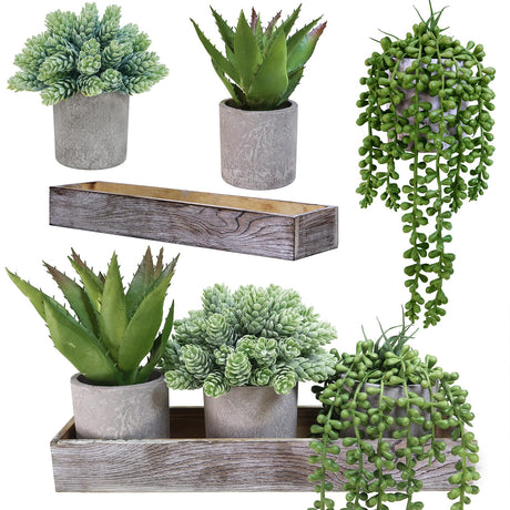 Winlyn Set of 3 Mini Potted Artificial Succulent Arrangement Faux String of Pearls Aloe Hops Succulent Plants in Rustic Decorative Wood Planter for Farmhouse Tabletop Shelves Indoor Greenery Décor Winlyn