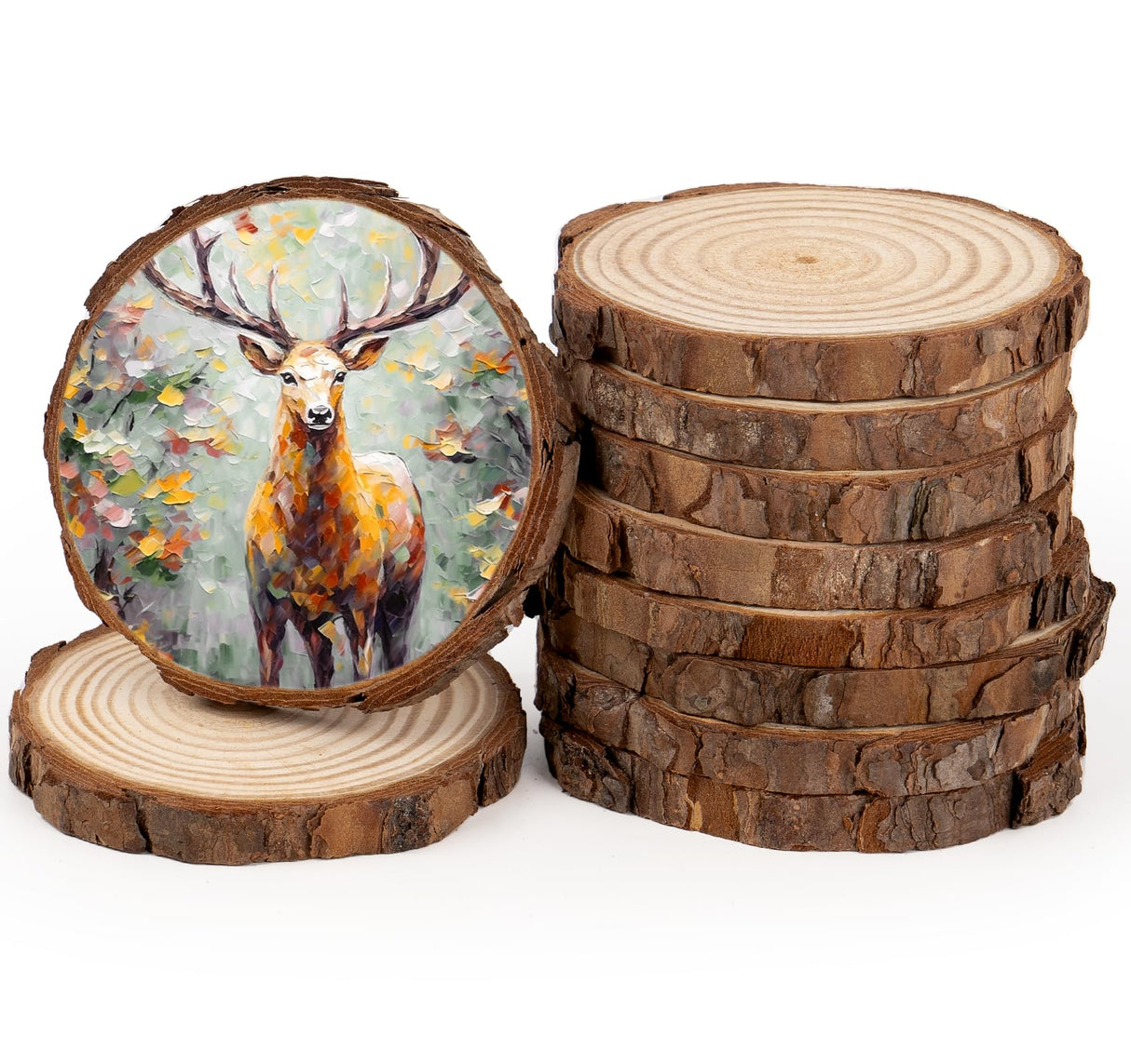 ilauke Wood Slices, 10 Pcs 3.5''-4'' Natural Wood Rounds, Wooden Circles with Bark, Unfinished Wood Kit for Paint DIY Ornaments Christmas Crafts Arts Wedding Decorations ilauke