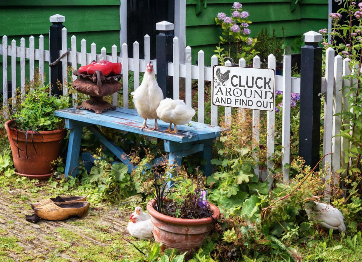 Smilelife Funny Chicken Gifts Chicken Cluck Around and Find Out Tin Sign for Home Farm Chicken Coop Farmhouse Kitchen Garden Decor 8 X 12 Inch (3021) Smilelife