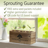 Avergo Bonsai Tree Kit – 3X Unique Japanese Bonzai Trees | Complete Indoor Starter Kit for Growing Bonsai Plants with Tools & Planters – Gardening Gifts for Women & Men AVERGO